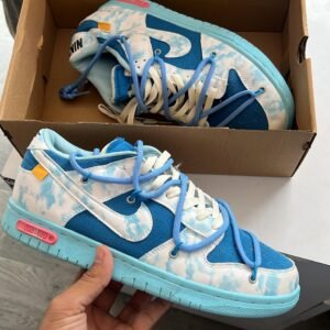 Nike SB Dunk Shoe (DK-14/139)